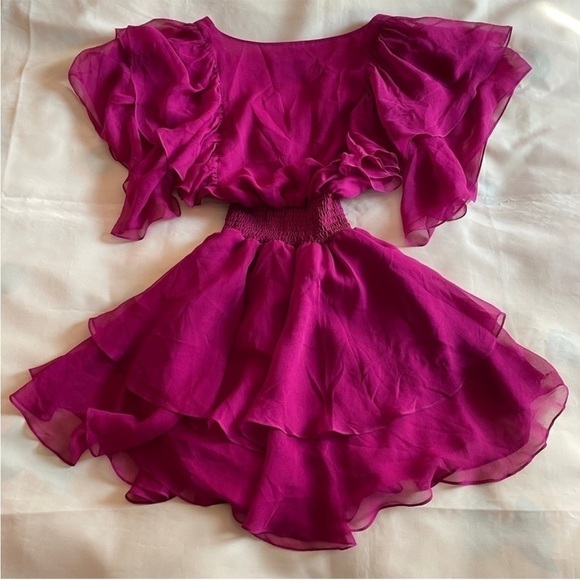 Gilner Farrar- Flutter Sleeve Smock Waist V-neck Magenta Finley Dress Size Small - Picture 7 of 9